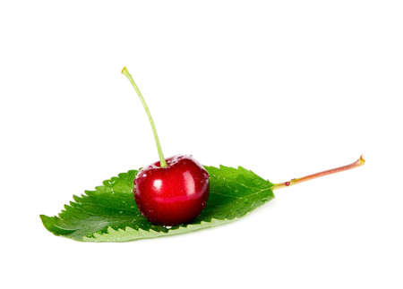 Sweet red cherry with green stalk, food conceptの写真素材
