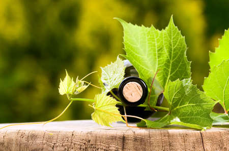 Wine bottle with wooden cork and big leaves aroundの写真素材
