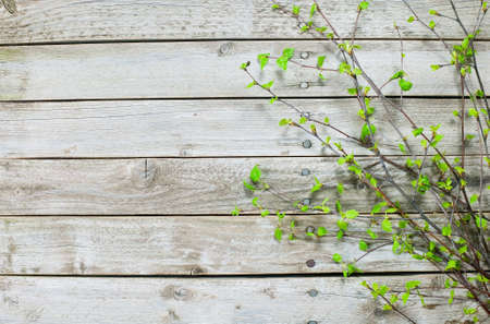 Wooden texture of wood composition background imageの写真素材