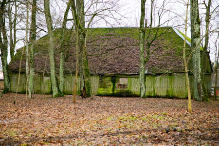 Old vintage green house in countryside, trees around
