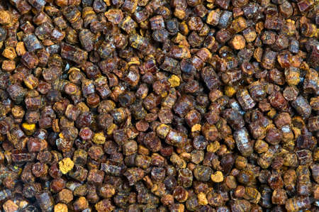 Propolis granules grunge texture background, bee productの写真素材