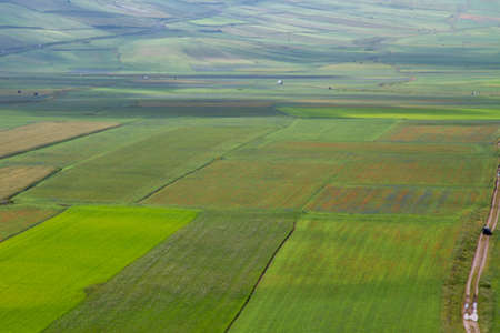 CASTELLUCCIO DI NORCIA AND ITS FLOWERING BETWEEN MICRO-COLORS OF FLOWERS AND NATURE