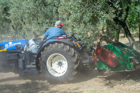 terni, italy may 24 2020:chopping work with stalk chopper with lots of dust and lots of sunのeditorial素材