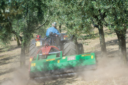 terni, italy may 24 2020:chopping work with stalk chopper with lots of dust and lots of sunのeditorial素材