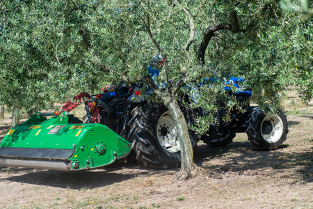 terni, italy may 24 2020:chopping work with stalk chopper with lots of dust and lots of sunのeditorial素材