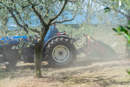 terni, italy may 24 2020:chopping work with stalk chopper with lots of dust and lots of sunのeditorial素材