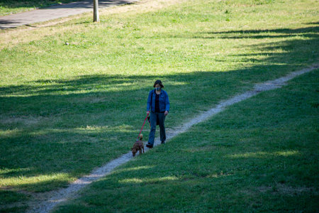terni,italy june 01 2020 :woman strolling with her dog at park in the morningのeditorial素材