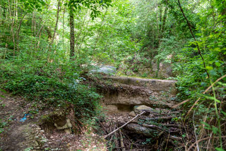 black river that comes from the marmore waterfallsの写真素材