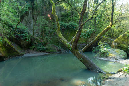 river of fosso castello in soriano nel cimino viterboの写真素材