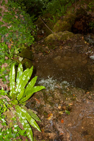 marmore waterfall and its streamsの写真素材