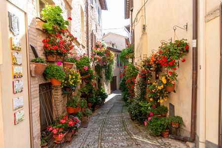 alleys of spello decorated with plants and characteristic flowersのeditorial素材