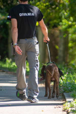 terni,italy july 06 2020:boy at the park taking the dog for a walkのeditorial素材