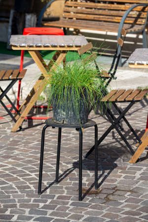 pot with plant on a stoolの写真素材