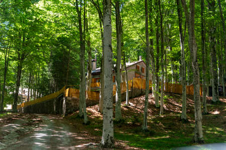 wooden huts for rentals during the year in monte amiataの写真素材