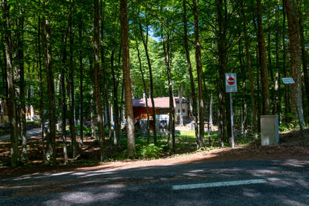 wooden huts for rentals during the year in monte amiataの写真素材