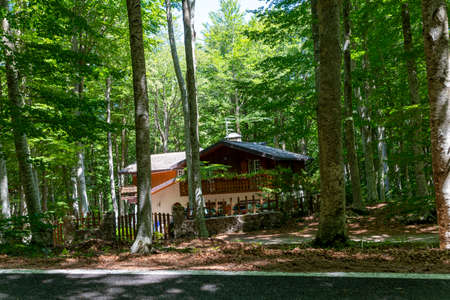 wooden huts for rentals during the year in monte amiataの写真素材