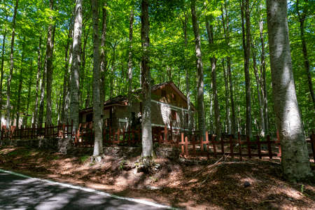 wooden huts for rentals during the year in monte amiataの写真素材