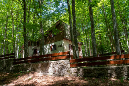wooden huts for rentals during the year in monte amiataの写真素材