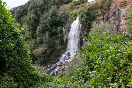 the waterfall of nepi surrounded by greenery in provoncia di romeの写真素材