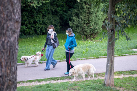 terni, italy actober 10 2020: a man in the park with his dog doing needs with a medical maskのeditorial素材