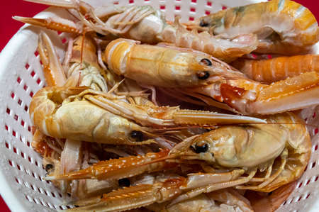 shrimp to drain ready for fish soupの写真素材