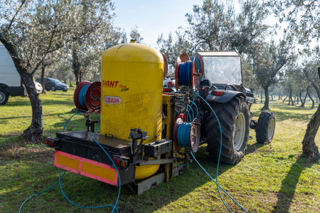 terni, italy november 26 2020: workers who harvest olive from the columns with hydraulic rakesのeditorial素材