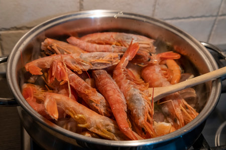 tomato fish soup with seafood, clams, Argentine prawnsの写真素材