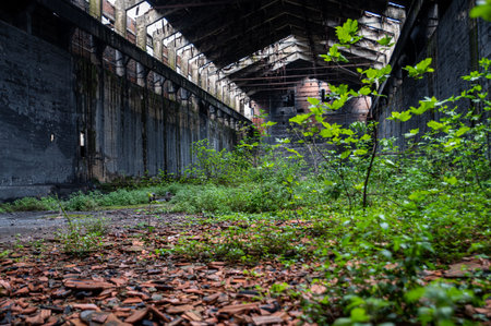 abandoned factory its interior and what remains of it tedriti and natureの写真素材