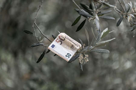 50 euro banknote among daisy flowers has indicate life