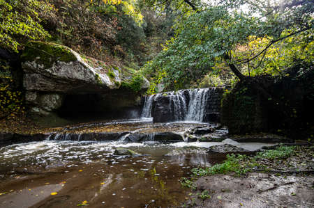 autumn landscape with river and brightly colored forestの写真素材