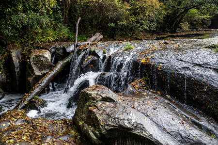 autumn landscape with river and brightly colored forestの写真素材