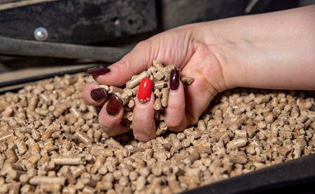 womans hand touches the pellets in the stove compartmentの写真素材