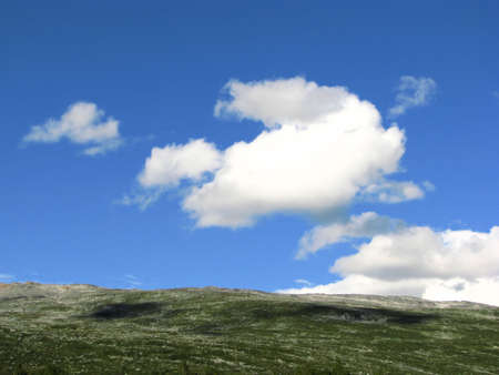 Background of sky and grass
