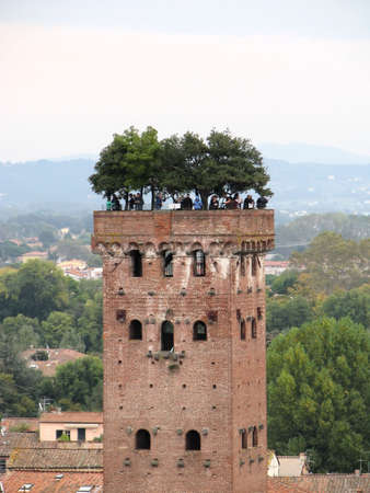 Guinigi tower Lucca, Tuscany, Italyの写真素材