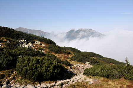View on Giewont in Polish Tatra Mountain from hiking trail to Kasprowy Wierchの写真素材