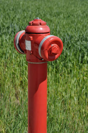 Fire hydrant, grass in the background