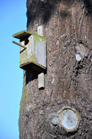 A small wooden bird house attached to the trunk of a tree の写真素材