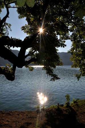 The sunの写真素材