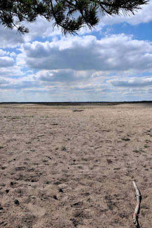Bledow Desert, an area of sands between Bledow and the village of Chechlo and Klucze in Poland.の写真素材