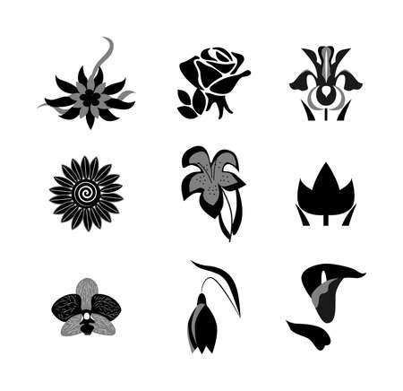 the icon set with beautiful different flowers.のイラスト素材