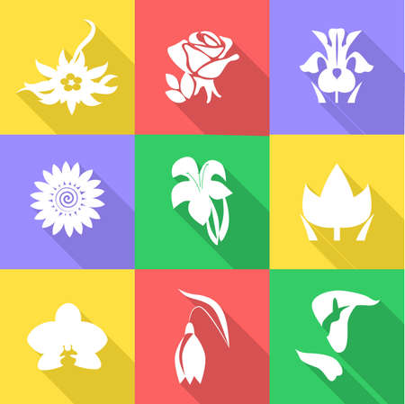 the icon set with beautiful different flowers.のイラスト素材