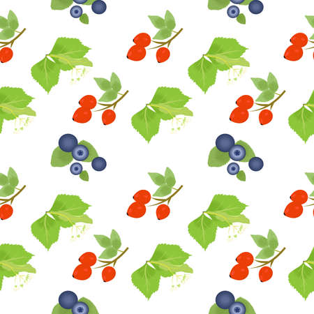 the illustration - background - with useful plants for human health.