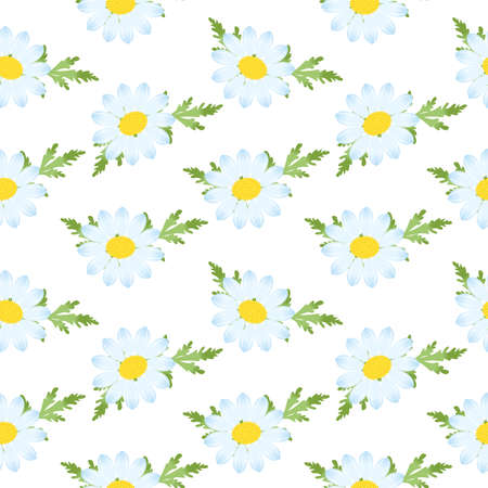 the illustration - seamless background - with the beautiful camomiles.のイラスト素材