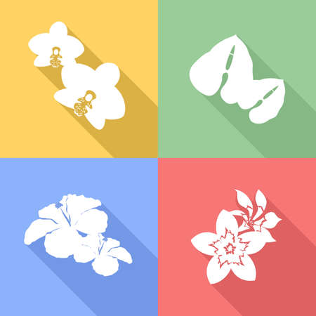 beautiful and bright set on the theme of flowers.のイラスト素材
