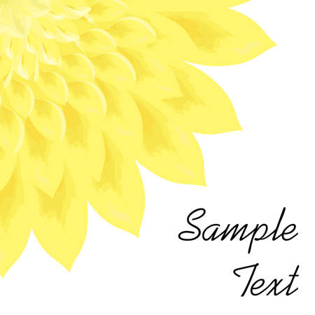 illustration of a bright yellow flower - the chrysanthemum.のイラスト素材