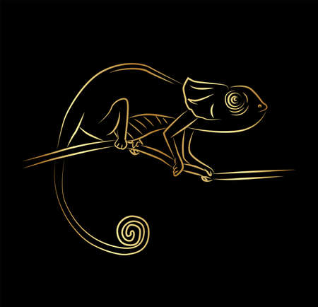 Illustration in the style of line art on the theme of animalism with a chameleon.のイラスト素材