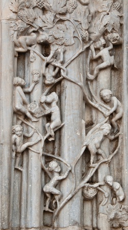representation collec grapes detail the cathedral of messinaの写真素材