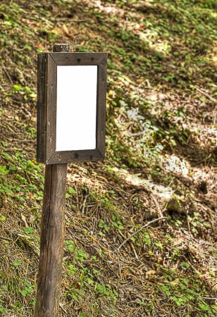 Clean information board in the forestの写真素材