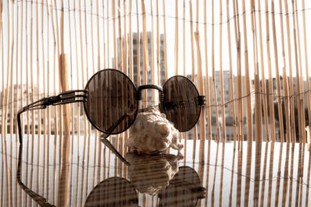 Vintage Black steampunk round sunglasses lens close up shoot in a summer day. Selective focusの写真素材