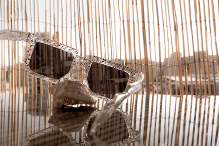 Pixel sunglasses design sit on a shell in a summer day. Selective focusの写真素材